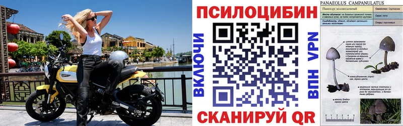 Псилоцибиновые грибы мухоморы  Миллерово 